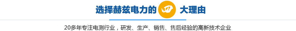 選擇赫茲電力的四大理由